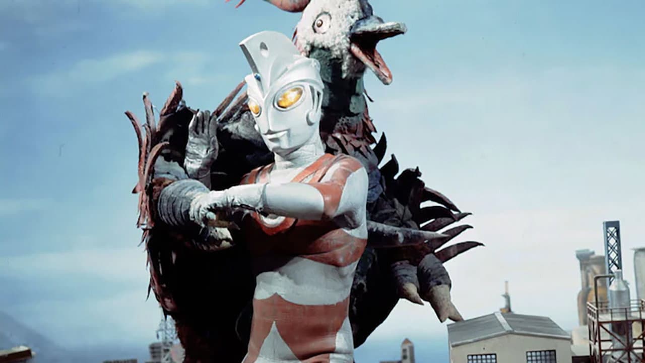 Lend Me the Pigeon