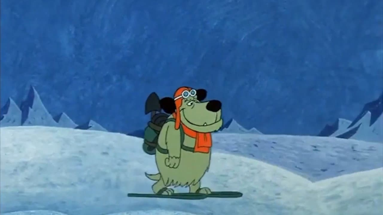 Admiral Bird Dog