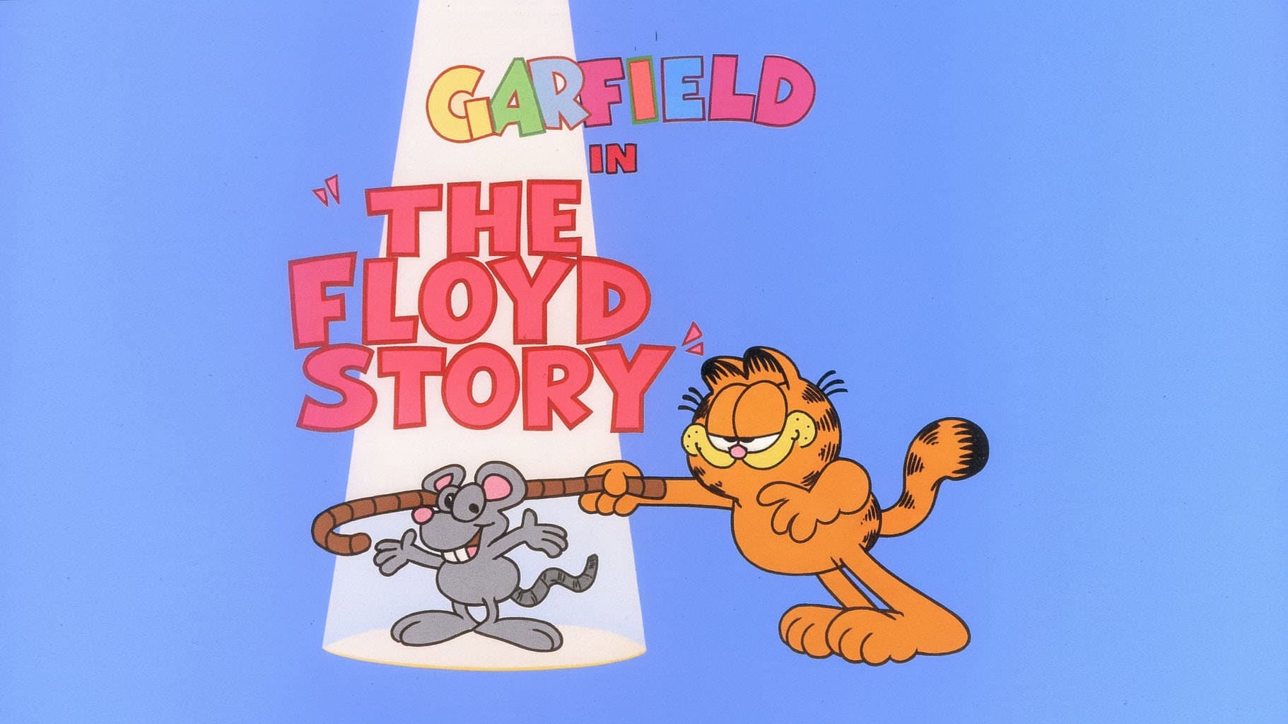 The Floyd Story
