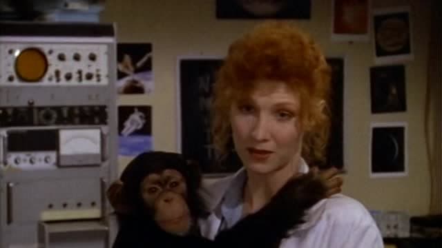 Monkey Dreams