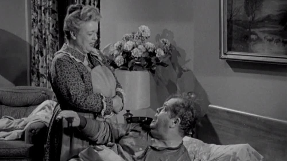 Aunt Bee the Warden
