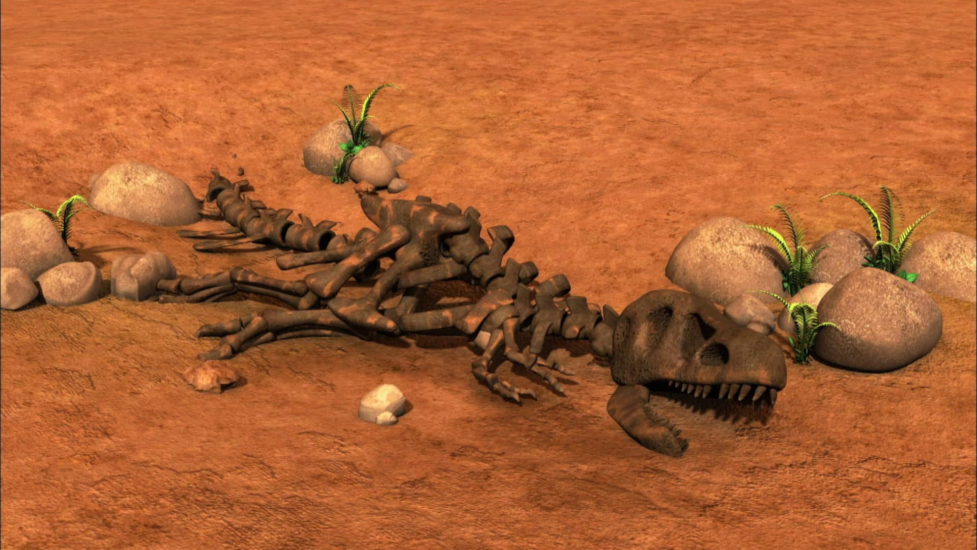 Fossil Fred