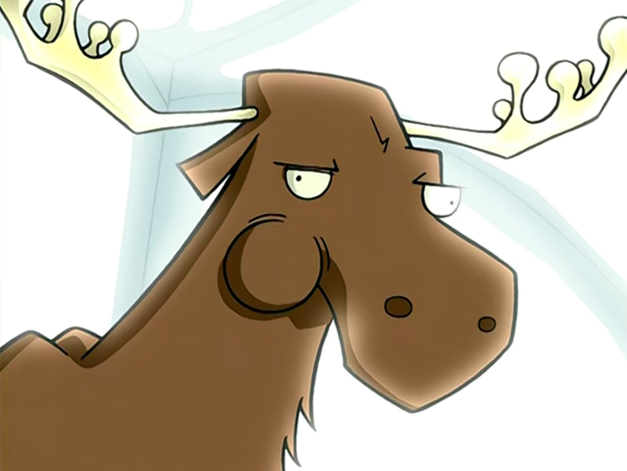 A Room with a Moose