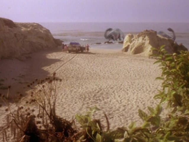 Life's a Beach
