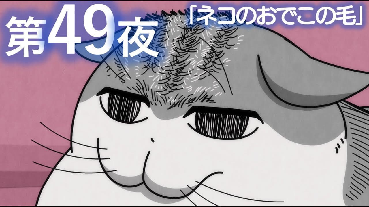 Night 49: The Fur on a Cat's Forehead