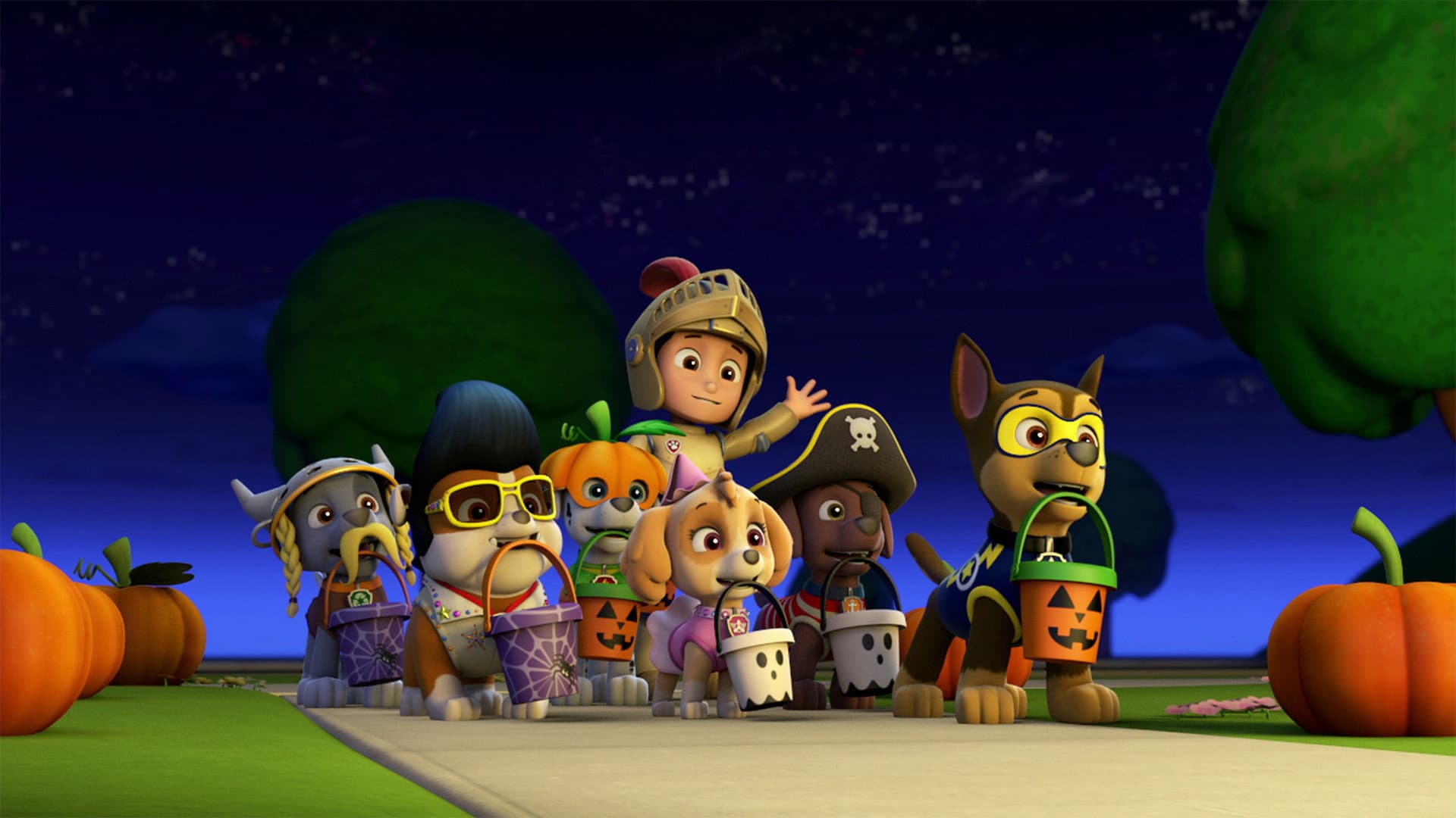 Pups and the Ghost Pirate