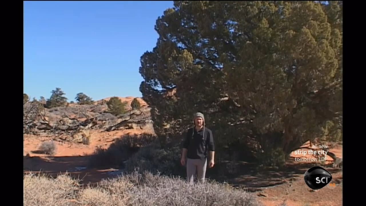 Utah Canyonlands
