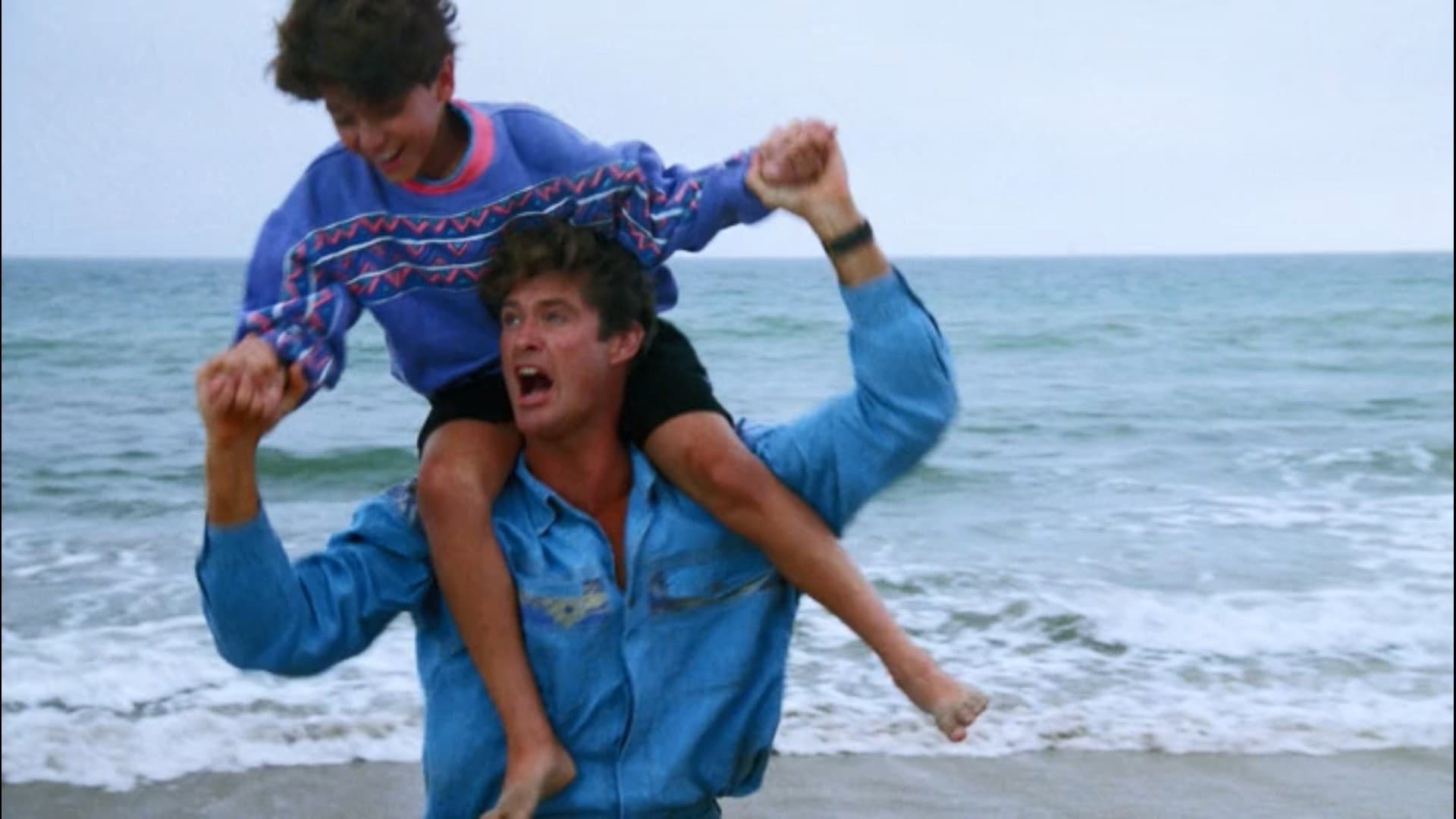 The Fabulous Buchannon Boys