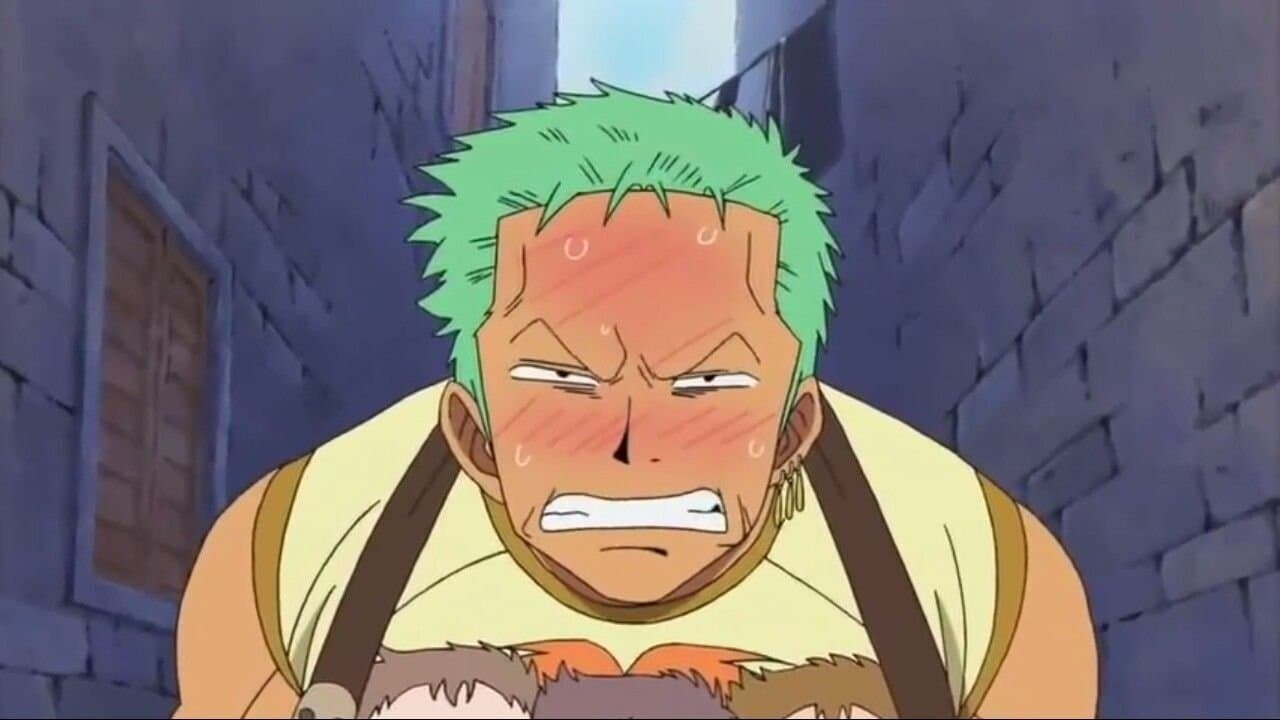 Mothers are Strong! Zoro's Hectic Household Chores!