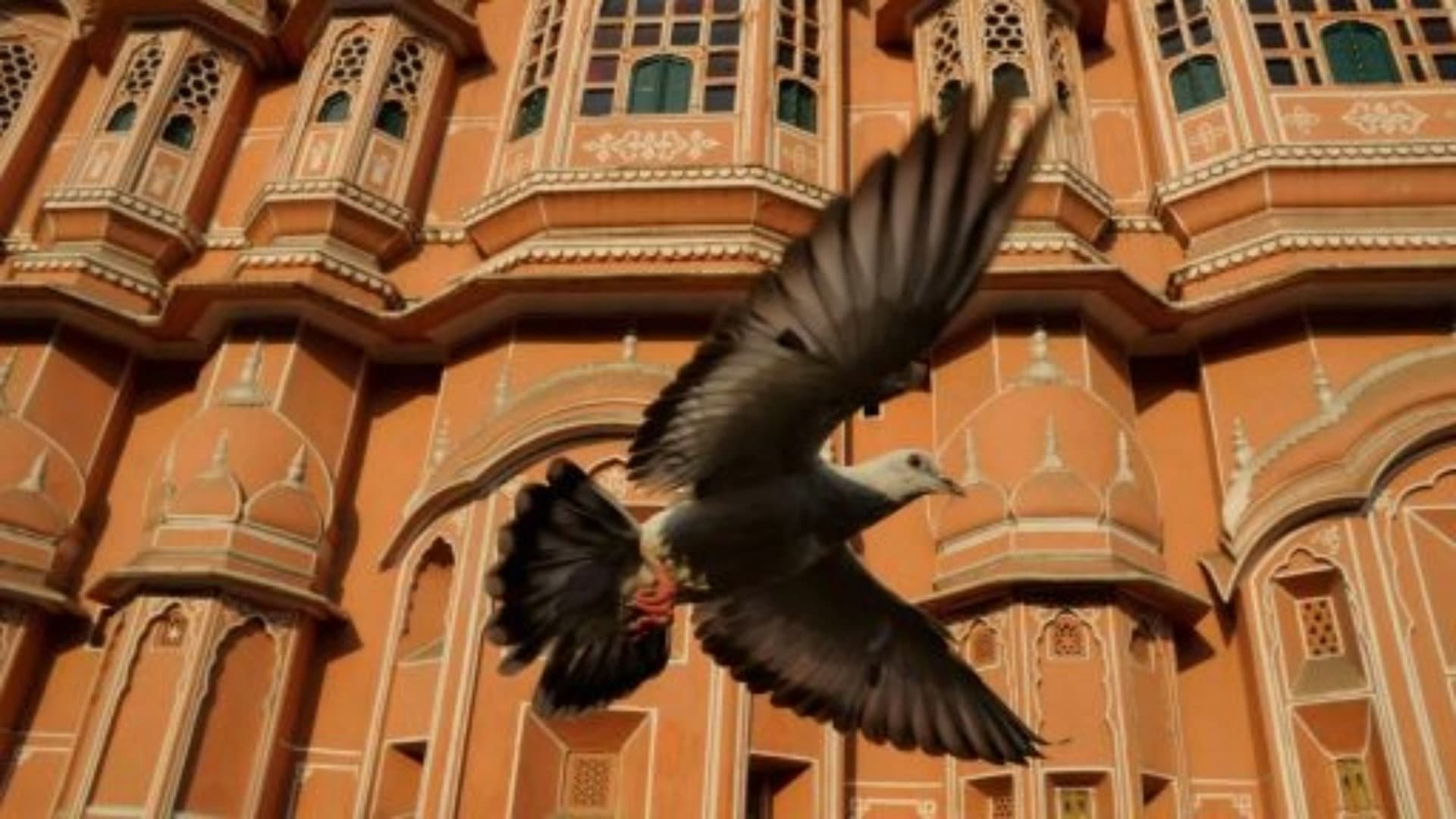 Earthflight: Asia and Australia