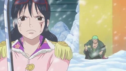Showing Off His Techniques! Zoro's Formidable One-Sword Style!