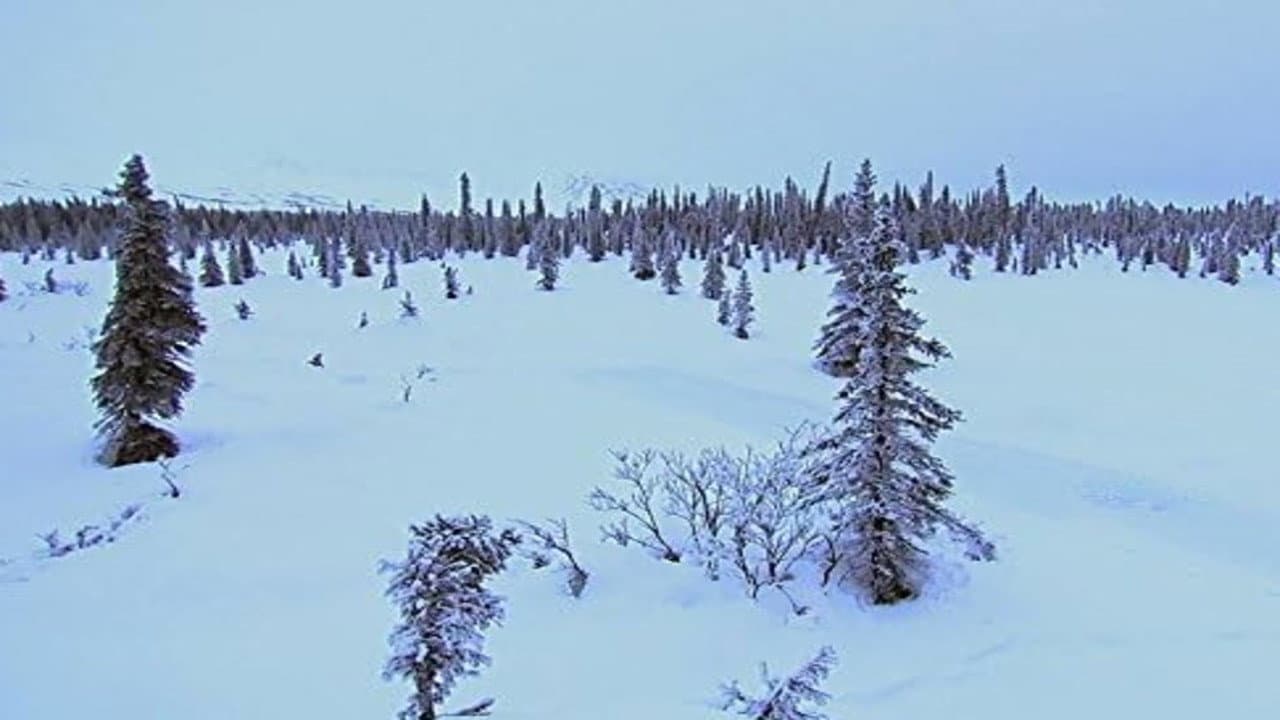 The Wasteland
