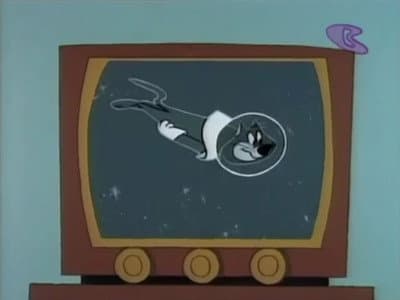 Missile Bound Cat
