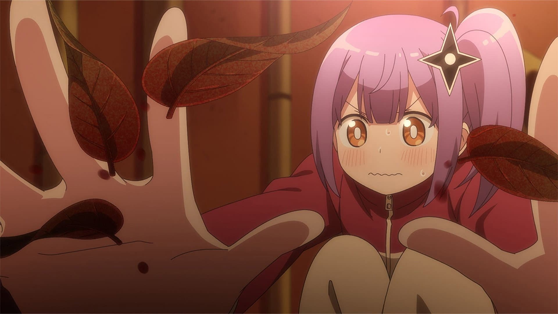 A Ninja and an Assassin's Experiment