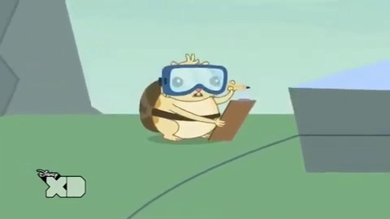Down the Creek