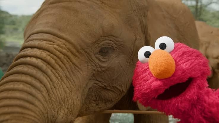 Sesame Street and the Great Elephant Adventure