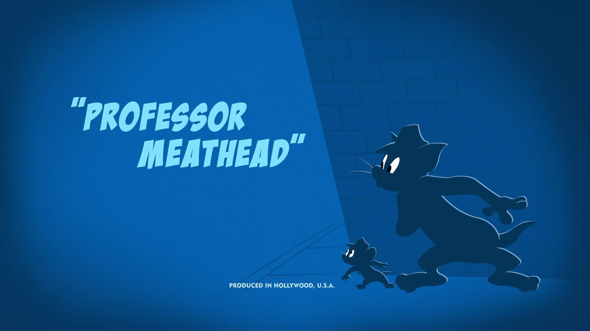 Professor Meathead