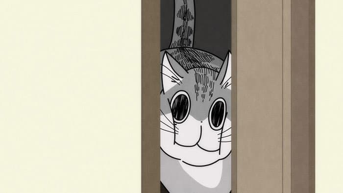 Night 17: Cats Can Pass Through If Their Heads Pass Through