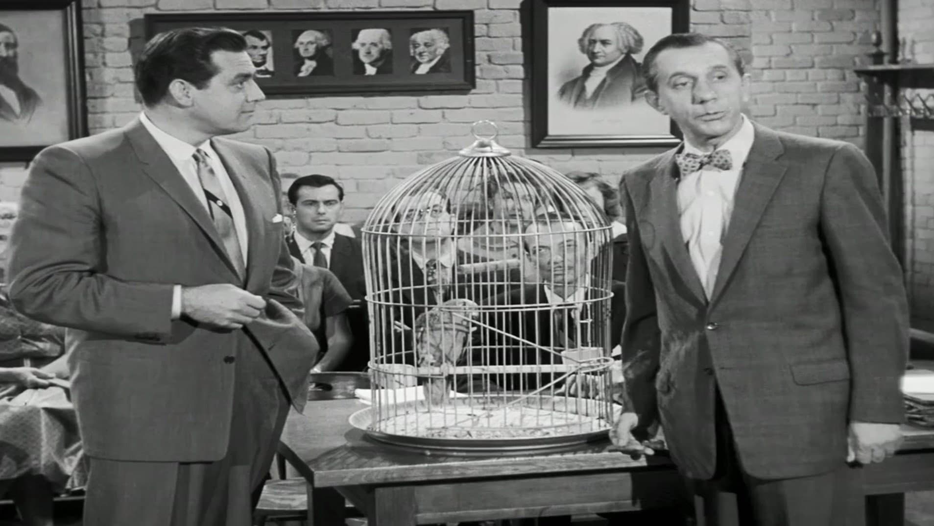 The Case of the Perjured Parrot