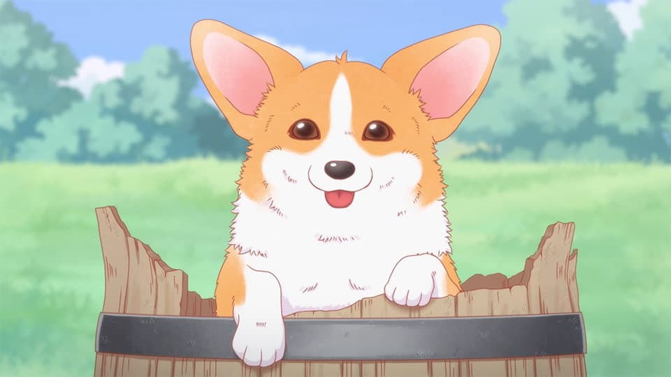 Episode 24