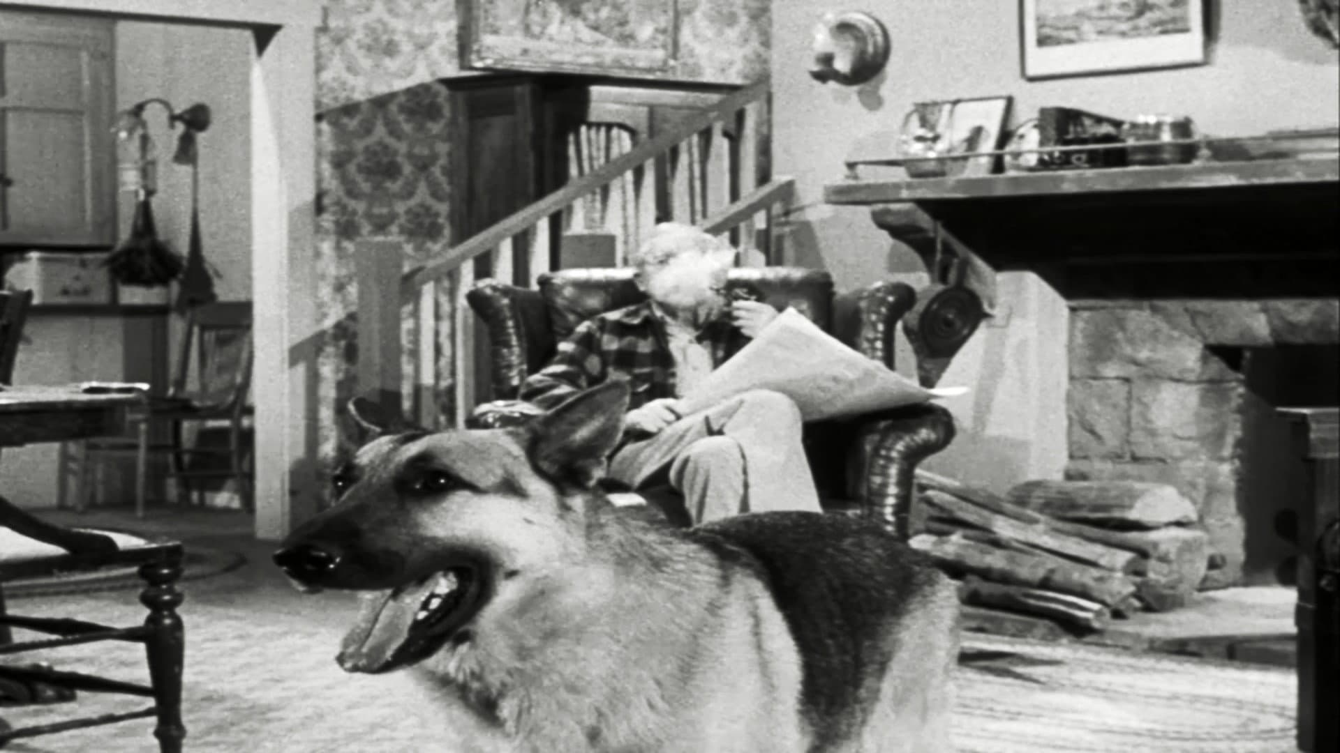 The Case of the Lazy Lover