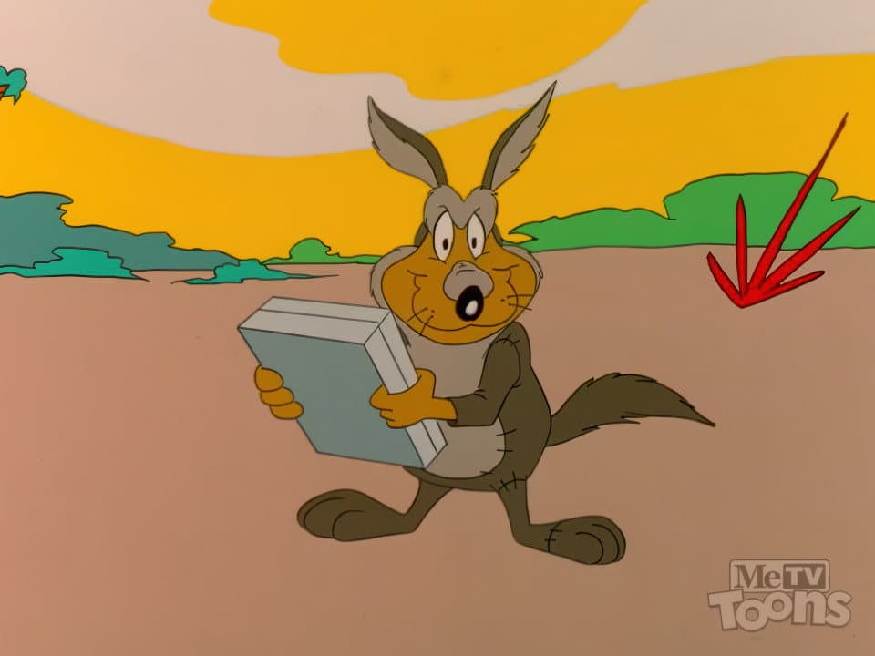 Willie Wombat's Deja Boo-Boo