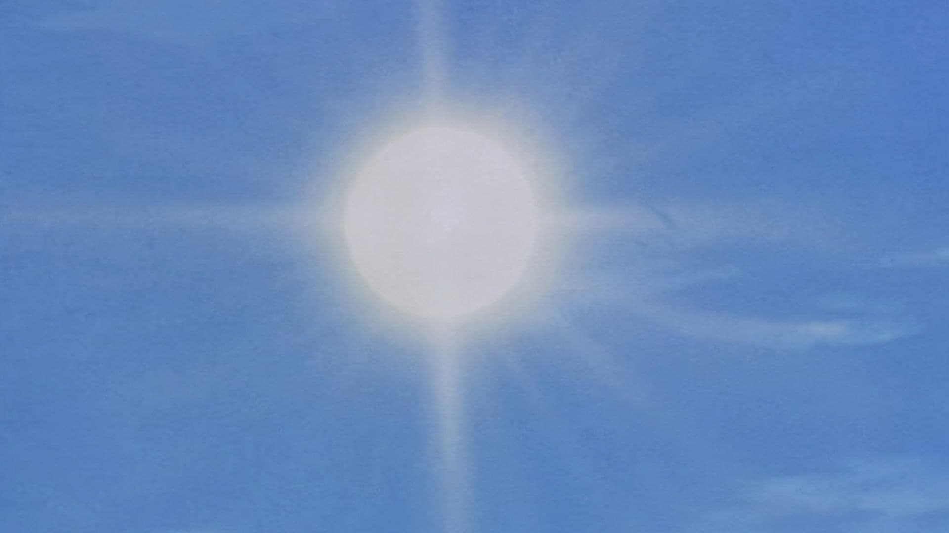 I Want to Catch the Sun