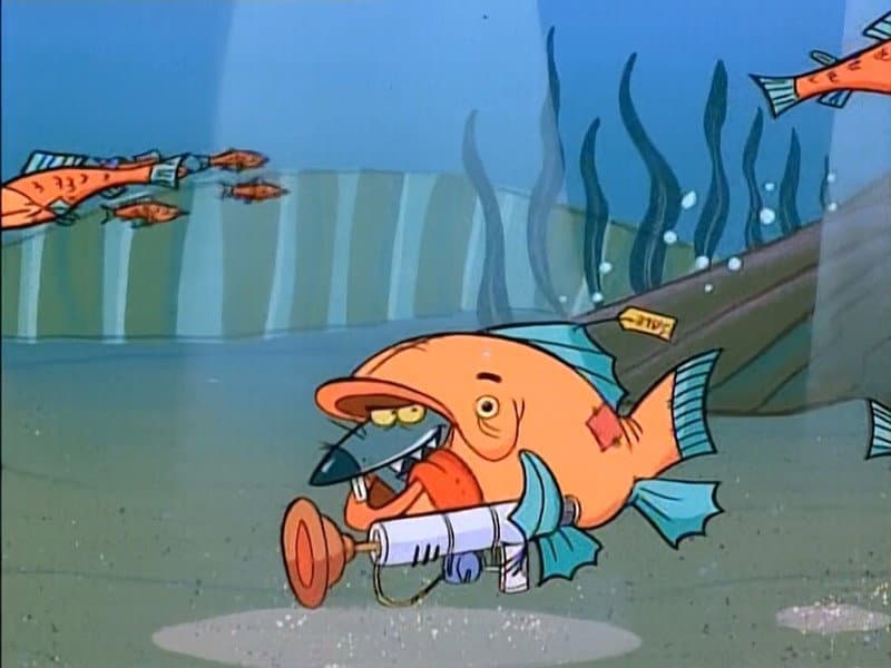 Salmon Sez