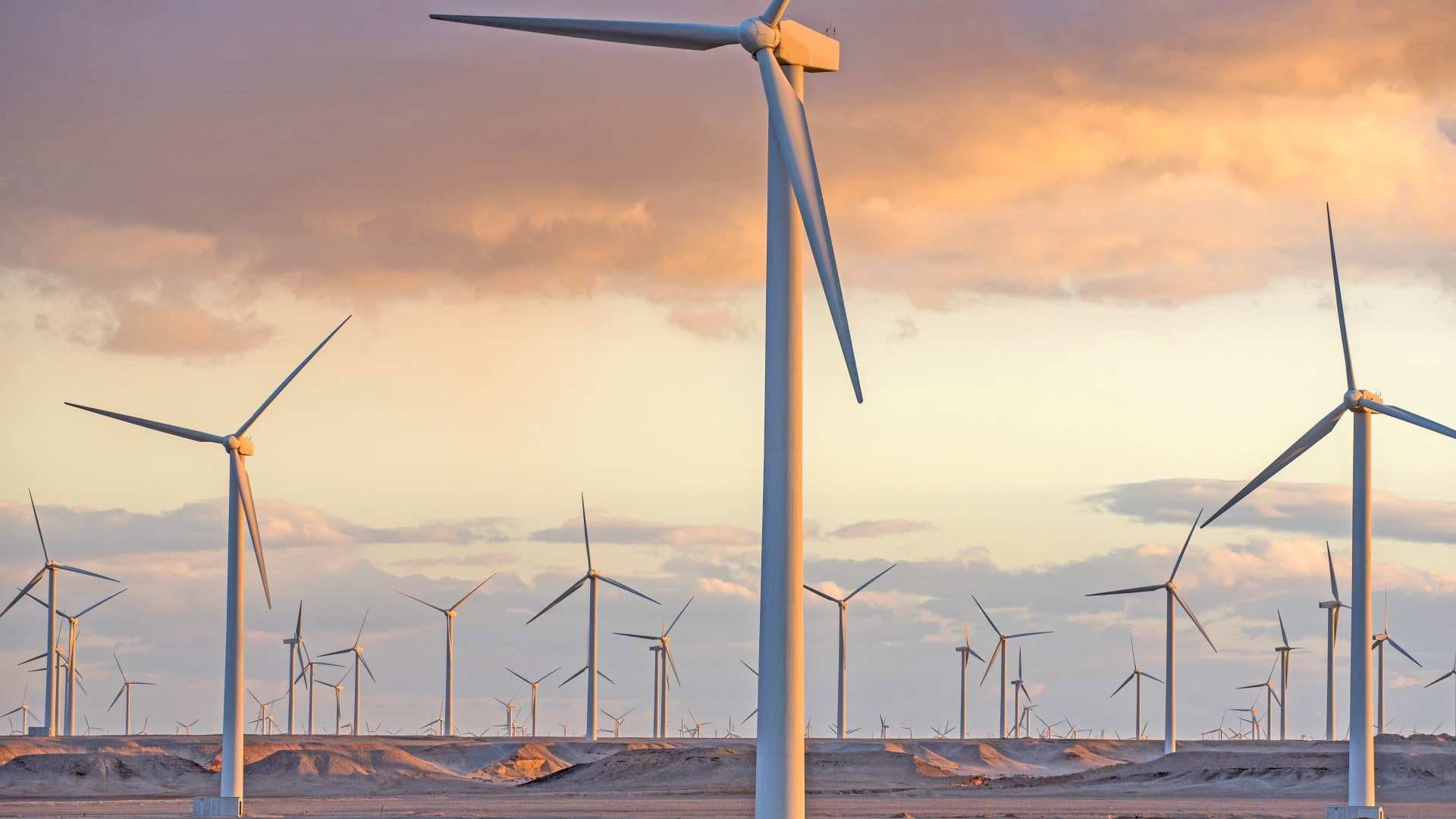 Wind Turbines, Car Tyres, Mushrooms