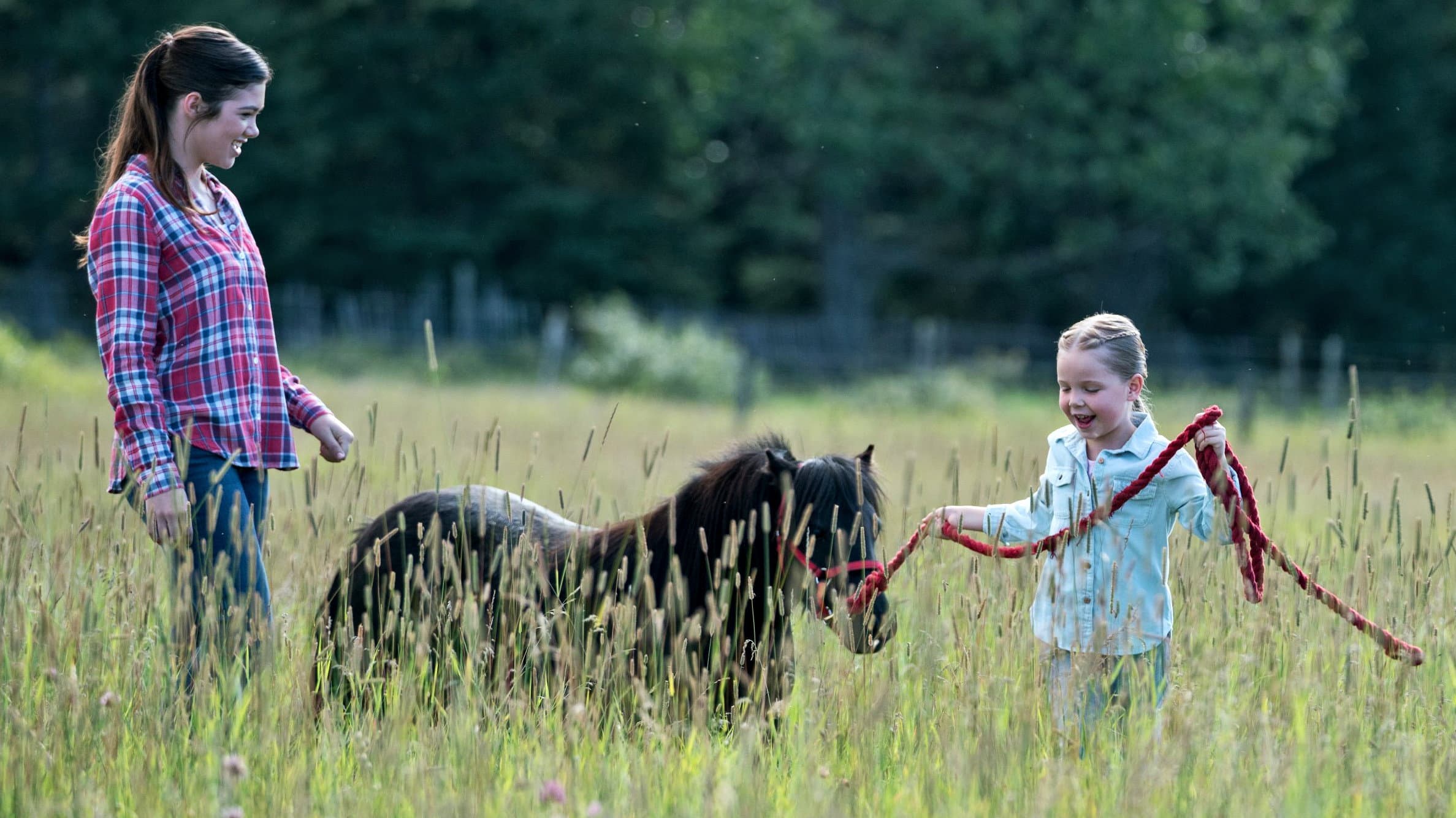 A Horse with No Rider