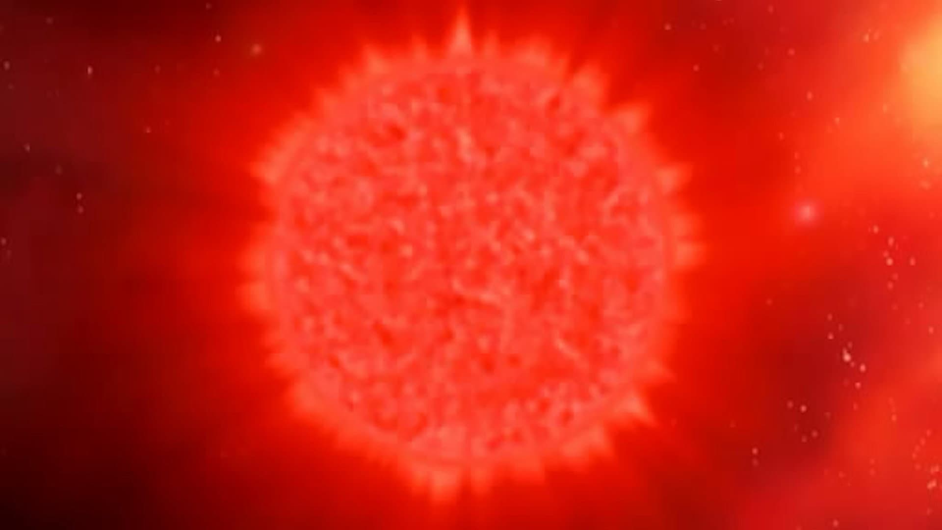 The Sun