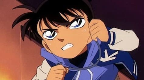 Re-encounter with the Black Organization (The Resolution)
