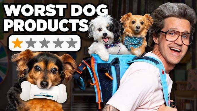 Are These New Pet Products Worth It?