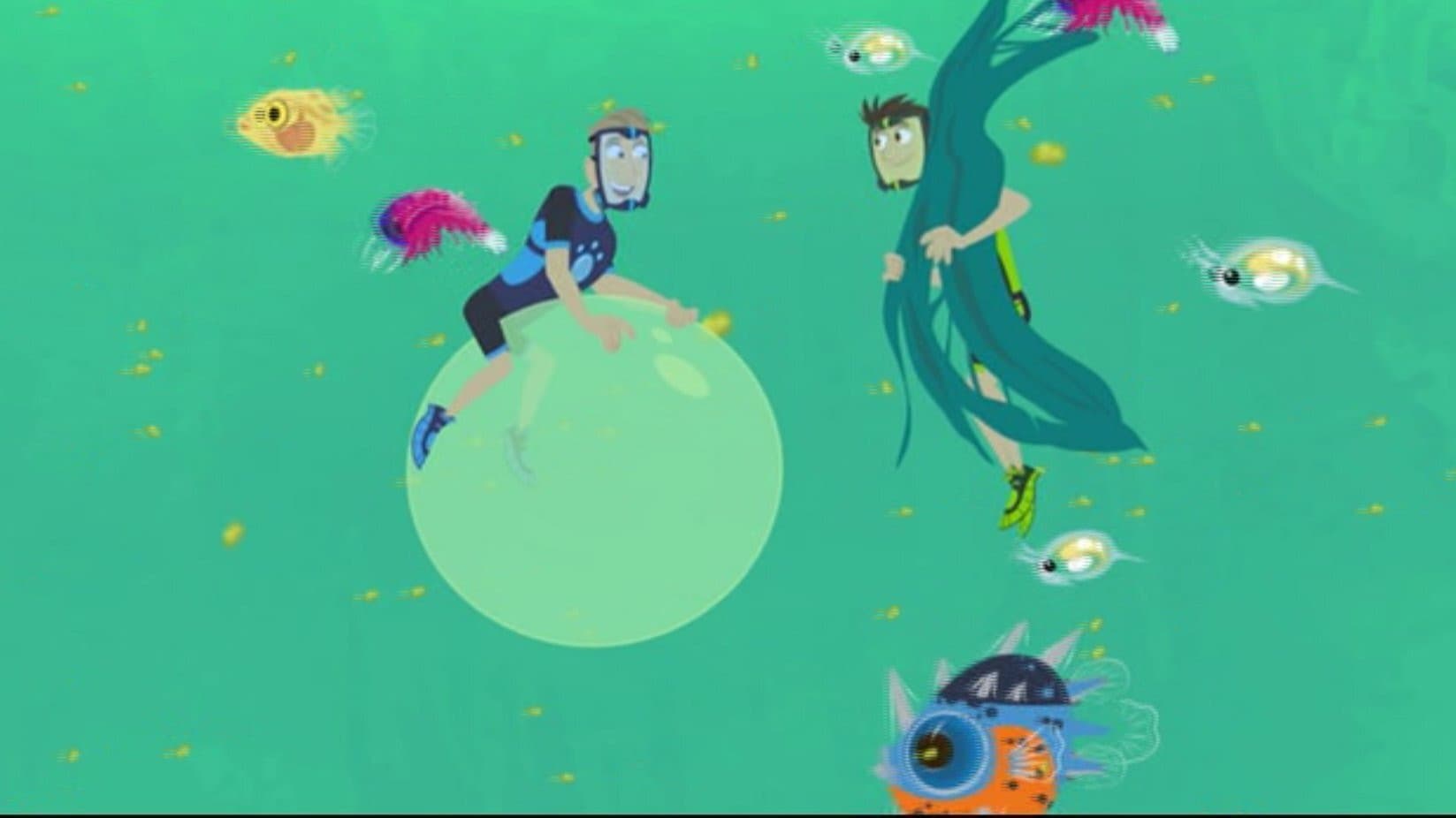 Blowfish Blowout