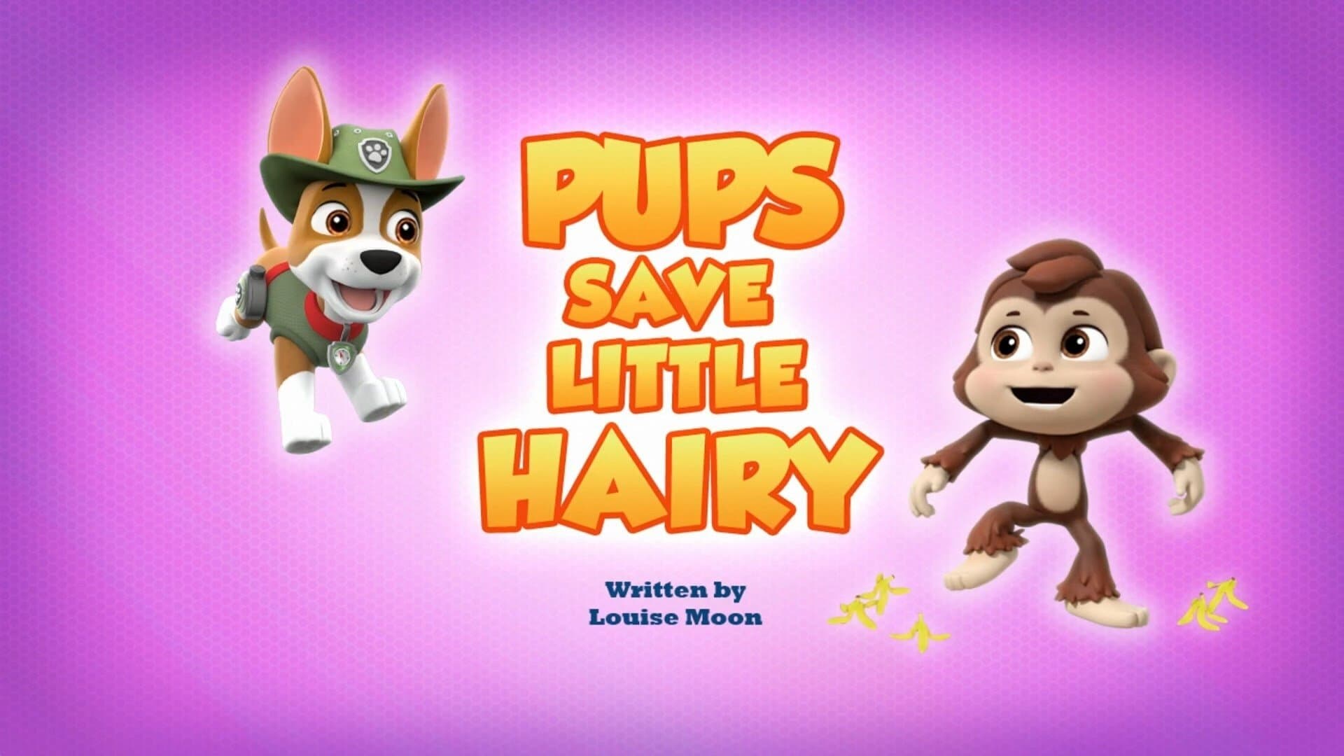 Pups Save Little Hairy