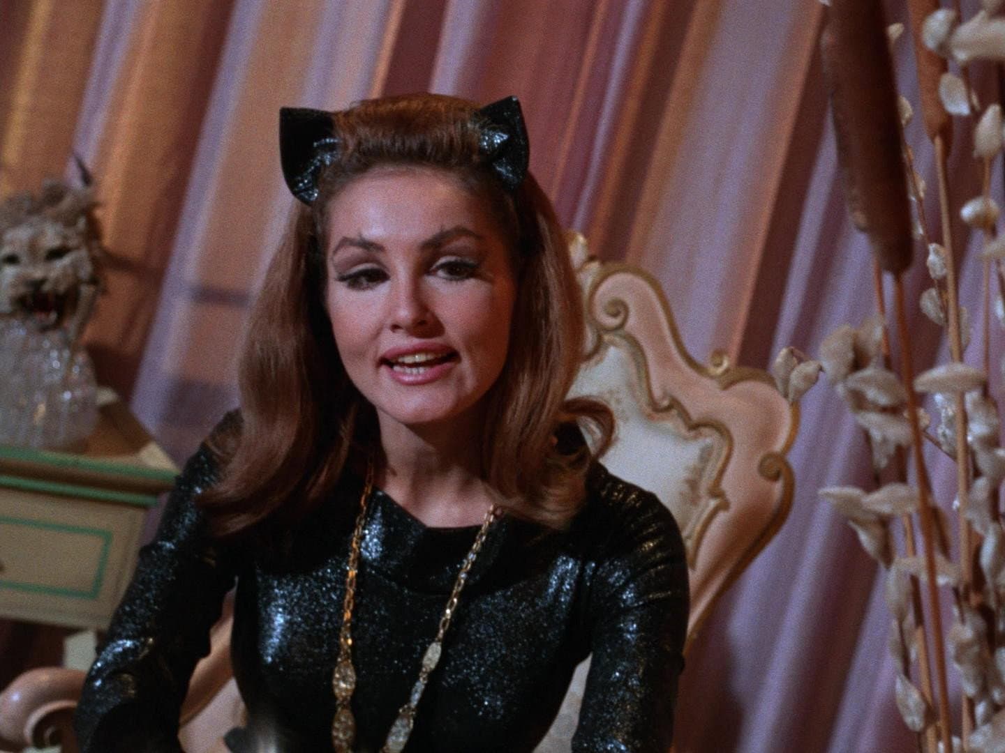 The Purr-Fect Crime