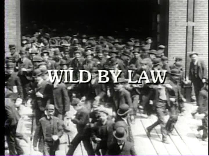 Wild by Law