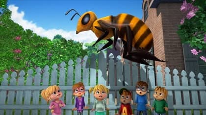 Queen Bee