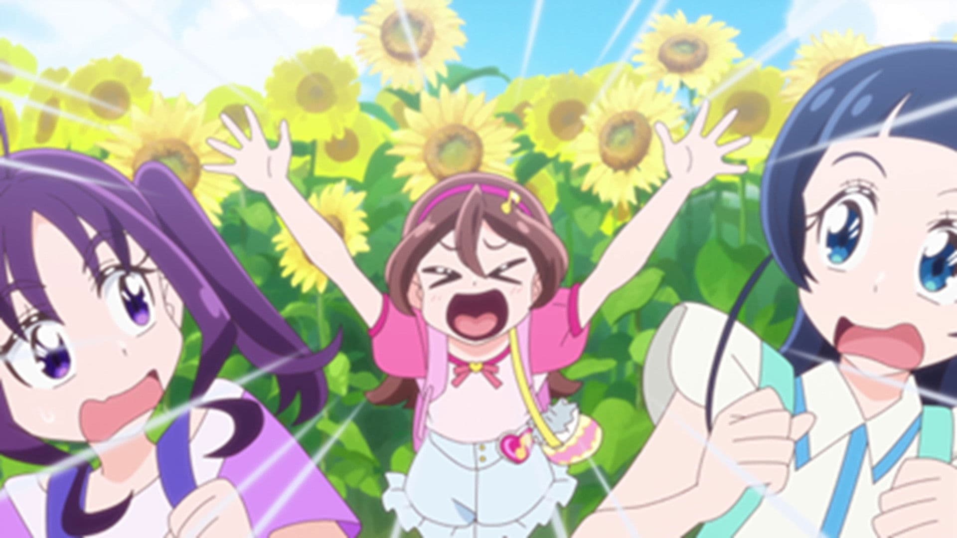 Wink in a Field of Sunflowers