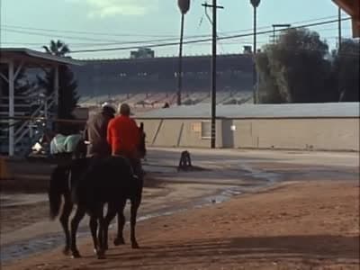 Two Dollars on Trouble to Win
