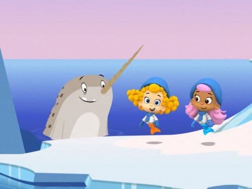 The Arctic Life!