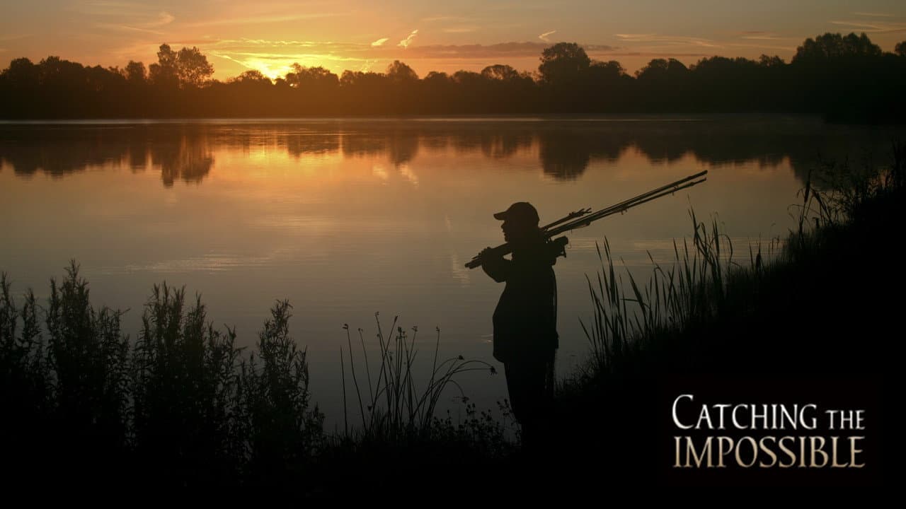 Show 248