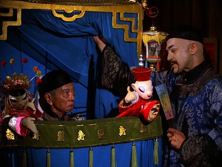 The Night of the Pelican