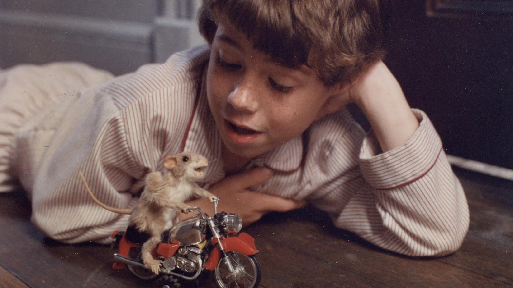 The Mouse and the Motorcycle