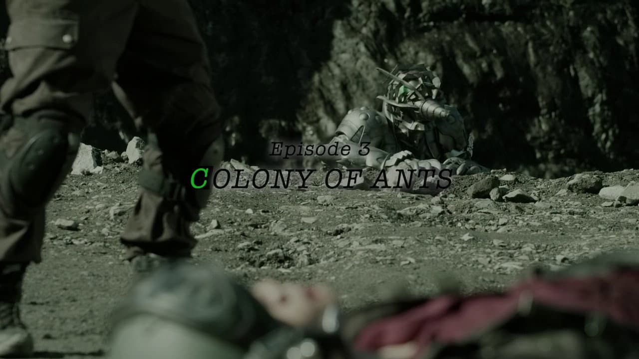 COLONY OF ANTS