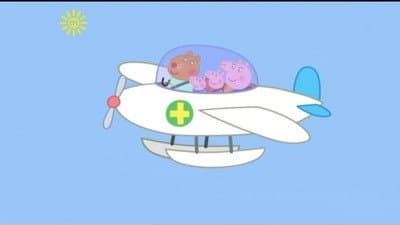 The Flying Vet