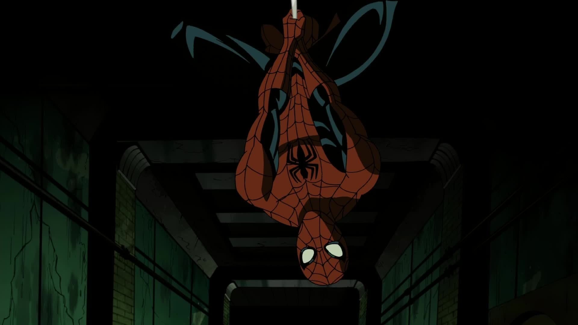 Along Came a Spider…