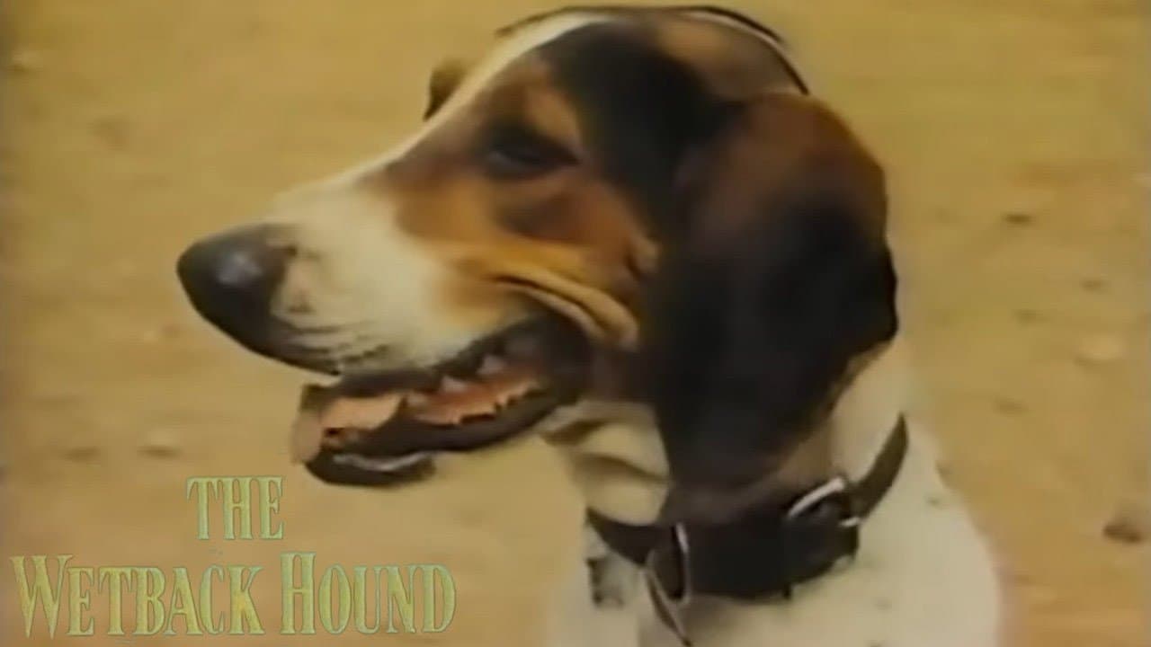 The Wetback Hound
