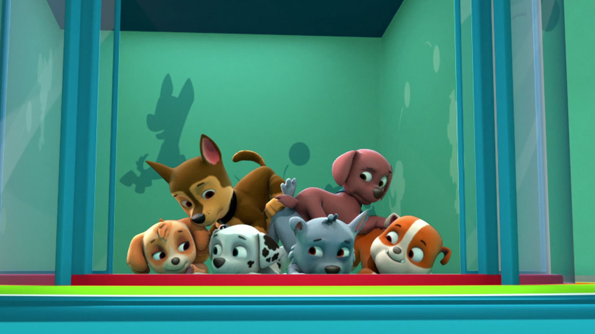 Pups Make a Splash