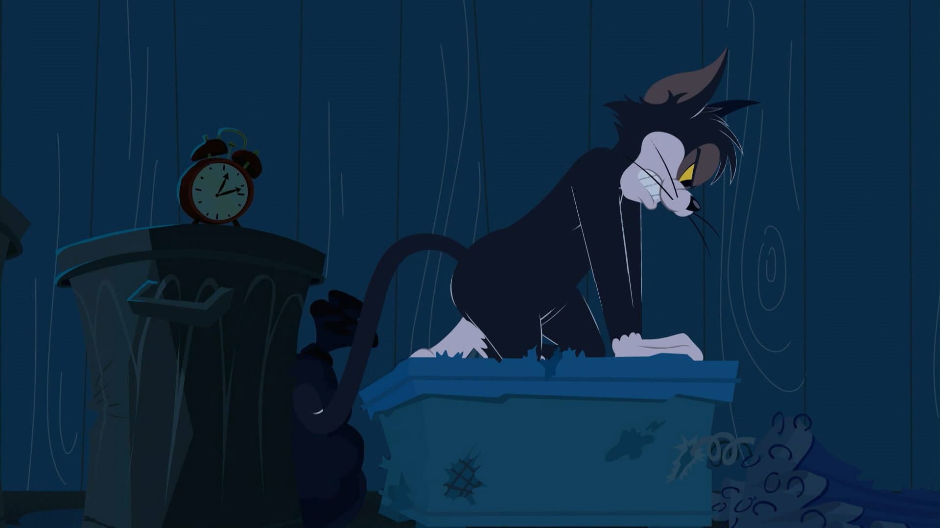 Sleep Disorder